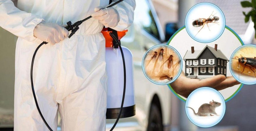 Koçarlı Böcek İlaçlama