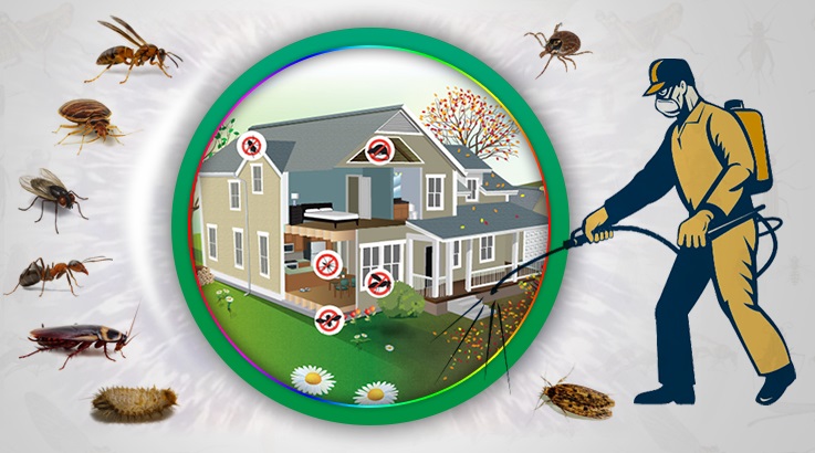 Koçarlı Böcek İlaçlama