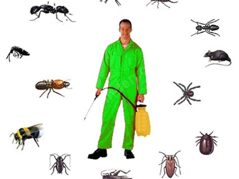 Koçarlı Böcek İlaçlama